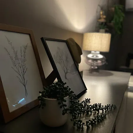 Beta House Apartament Zaječar