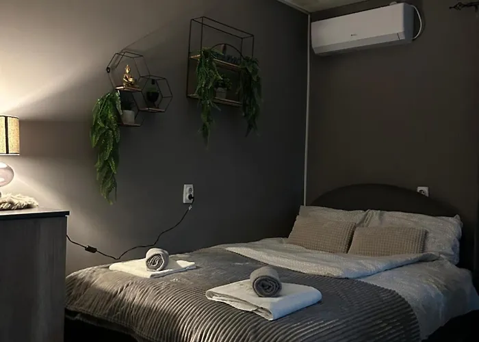 Beta House 자예카르